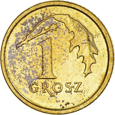 Moneta, 
            
               Polska, 
            
               Grosz